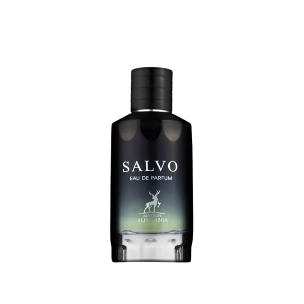 Salvo
